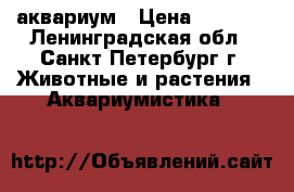 аквариум › Цена ­ 3 500 - Ленинградская обл., Санкт-Петербург г. Животные и растения » Аквариумистика   
